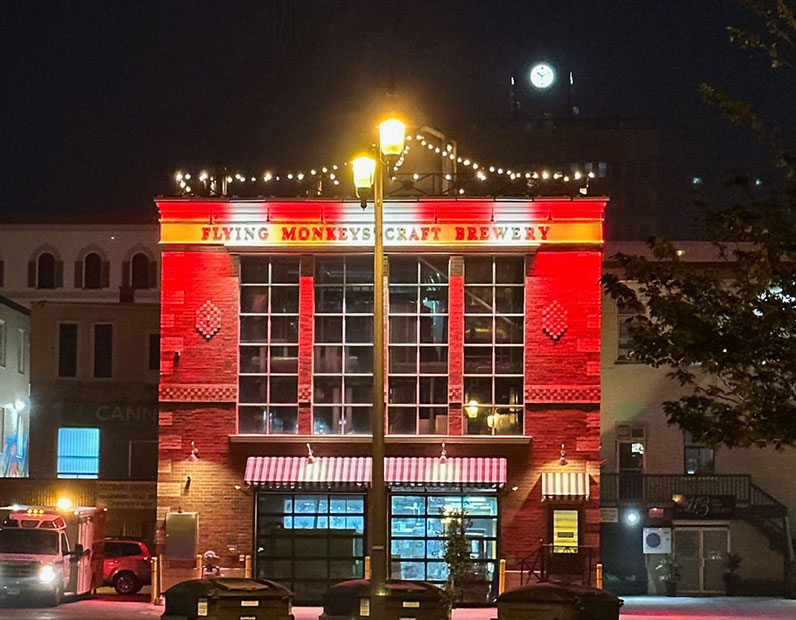 Exterior Lighting of the flying monkey